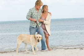 <b><i>Marley & Me</i></b> Tops Christmas Weekend US Box Office