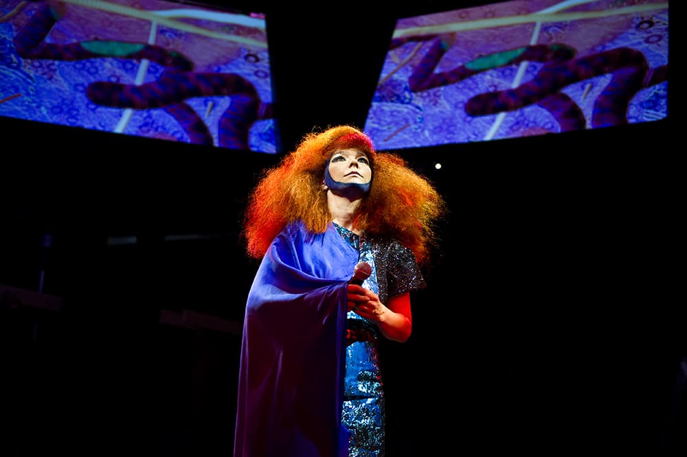 Björk Announces 9th Album <strong><em>Vulnicura</em></strong>