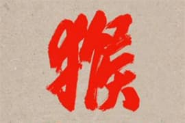 Monkey 落實大碟出版日期