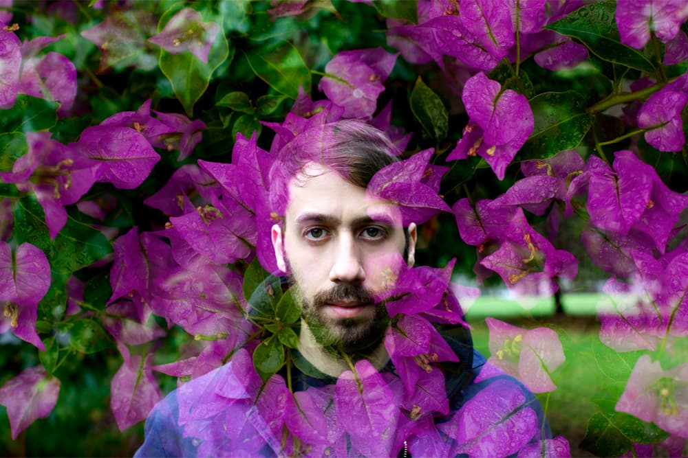 Gold Panda