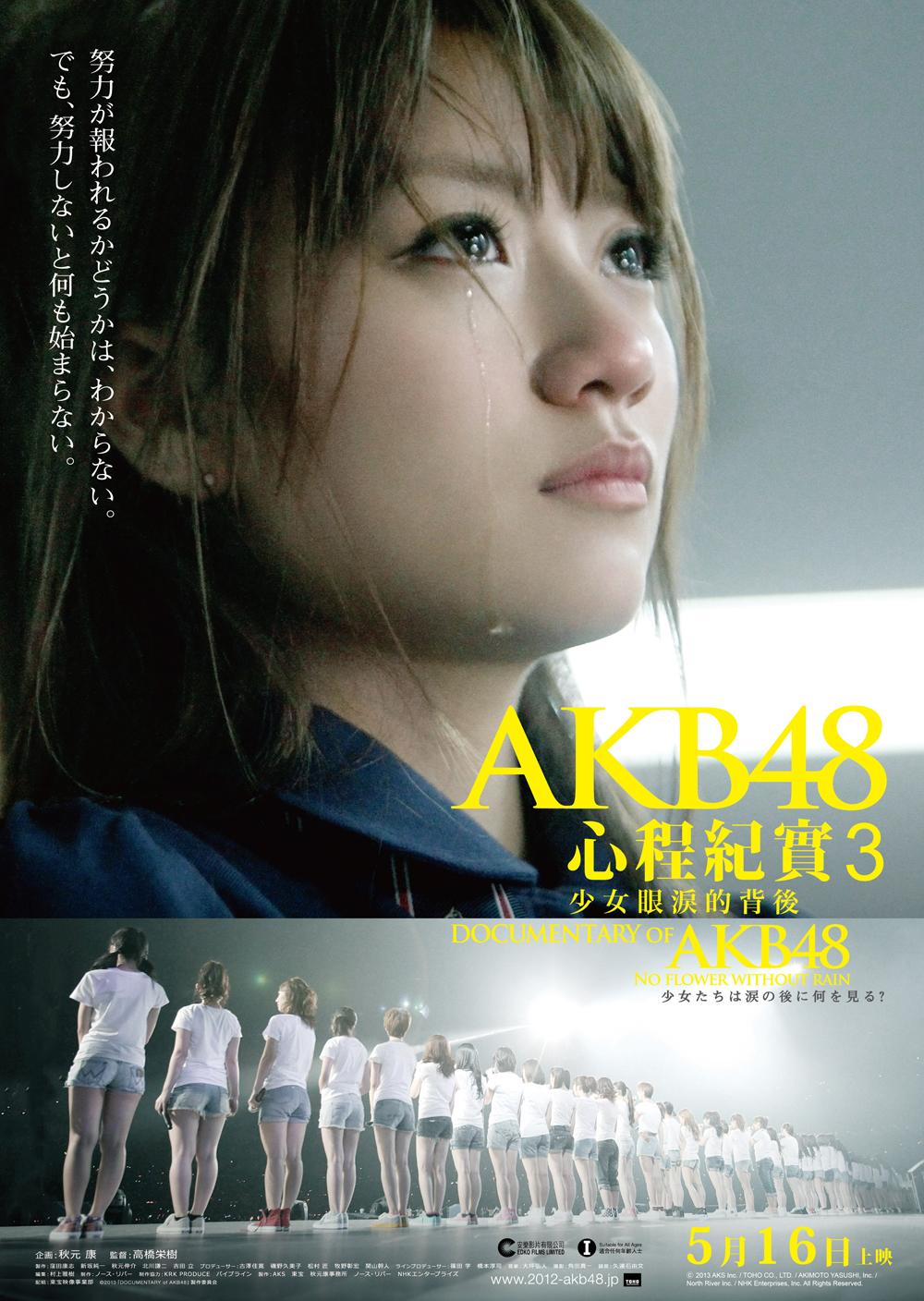 Documentary Of AKB48 No Flower Without Rain