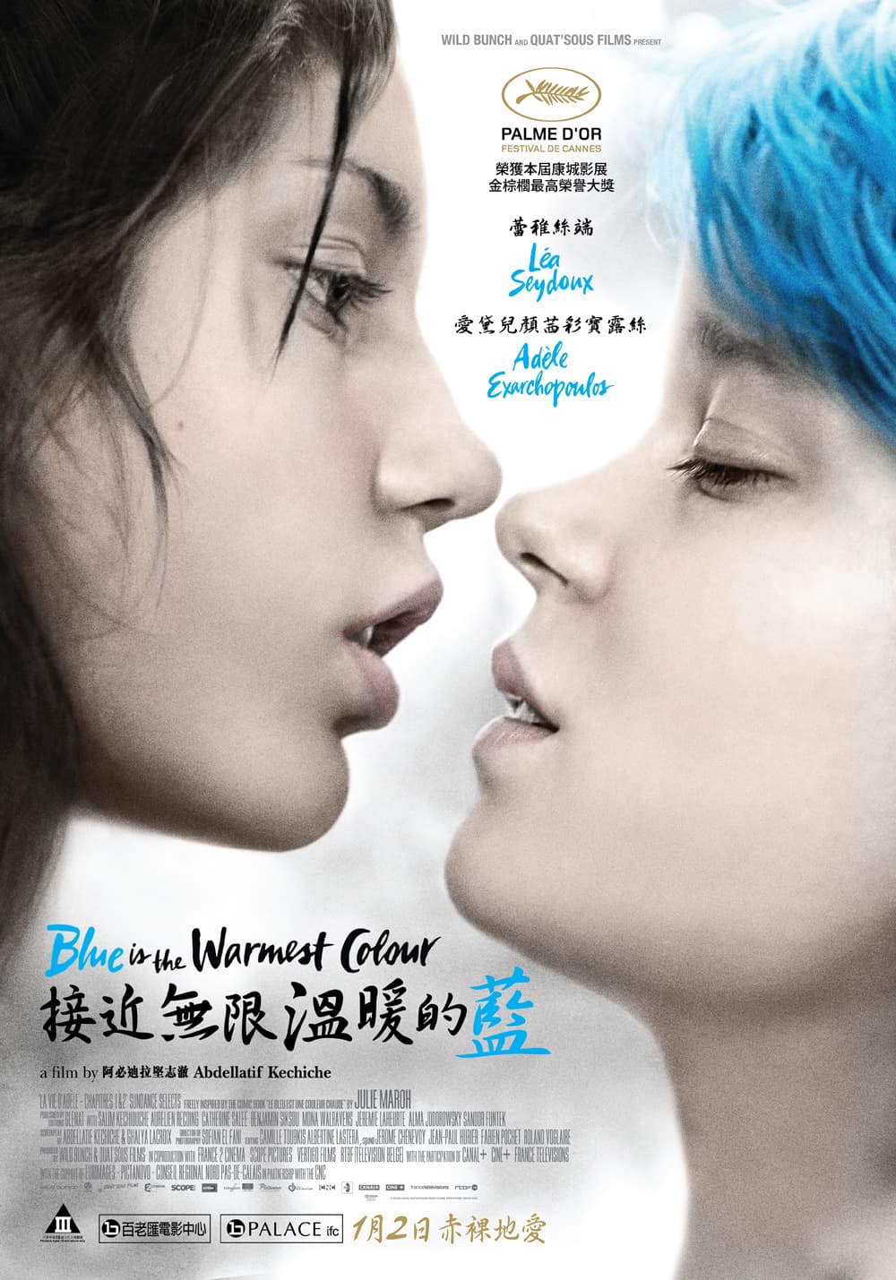 Blue Is The Warmest Colour