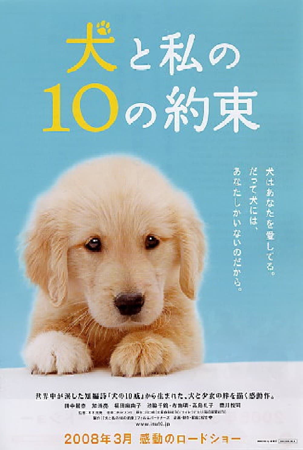 10 Promises To My Dog