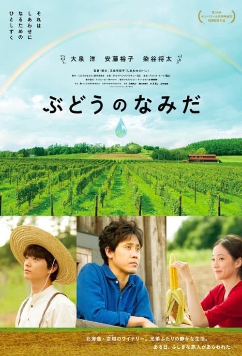A Drop Of Grapevine
