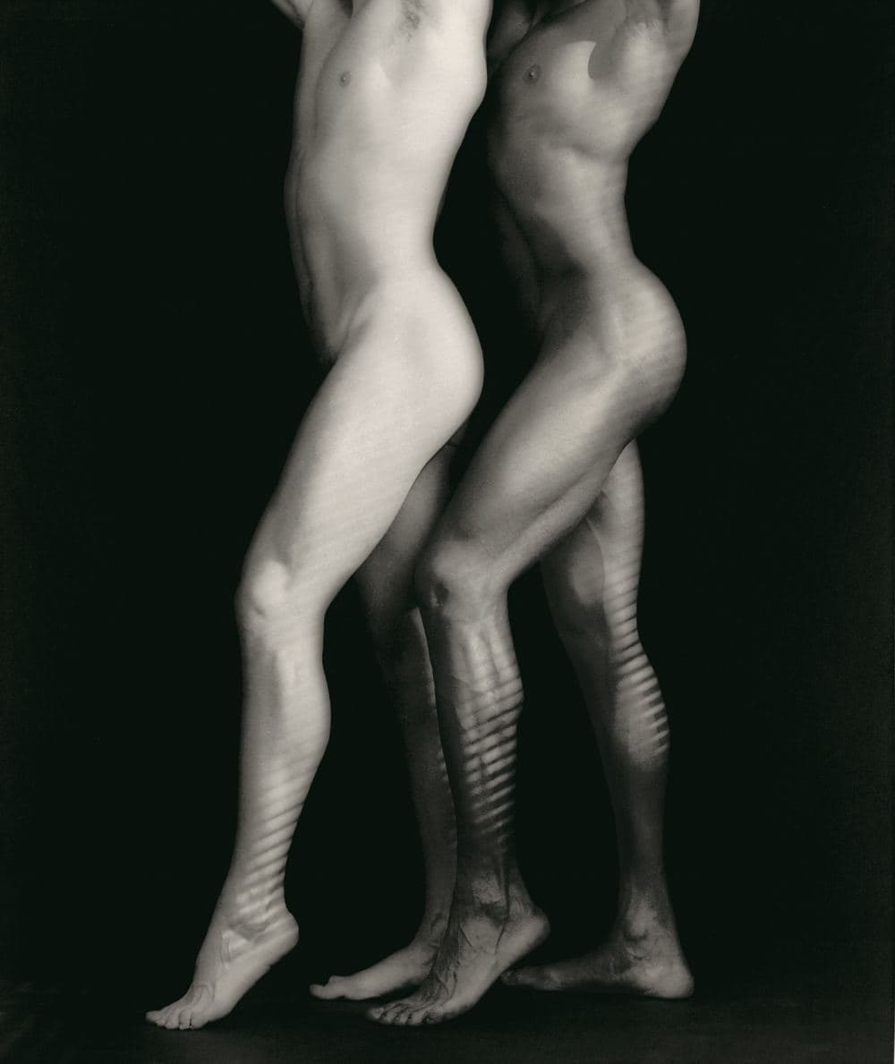 Mapplethorpe: Look At The Pictures