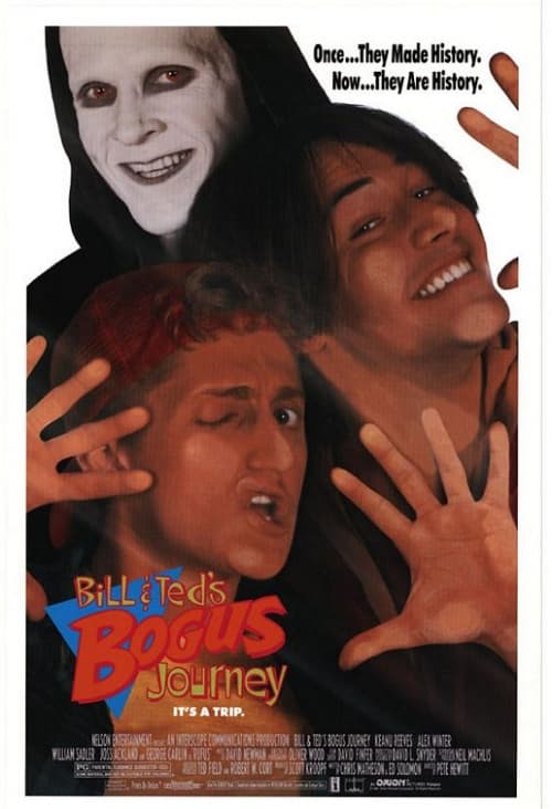 Bill & Ted's Bogus Journey