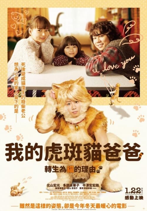 Tiger: My Life As A Cat
