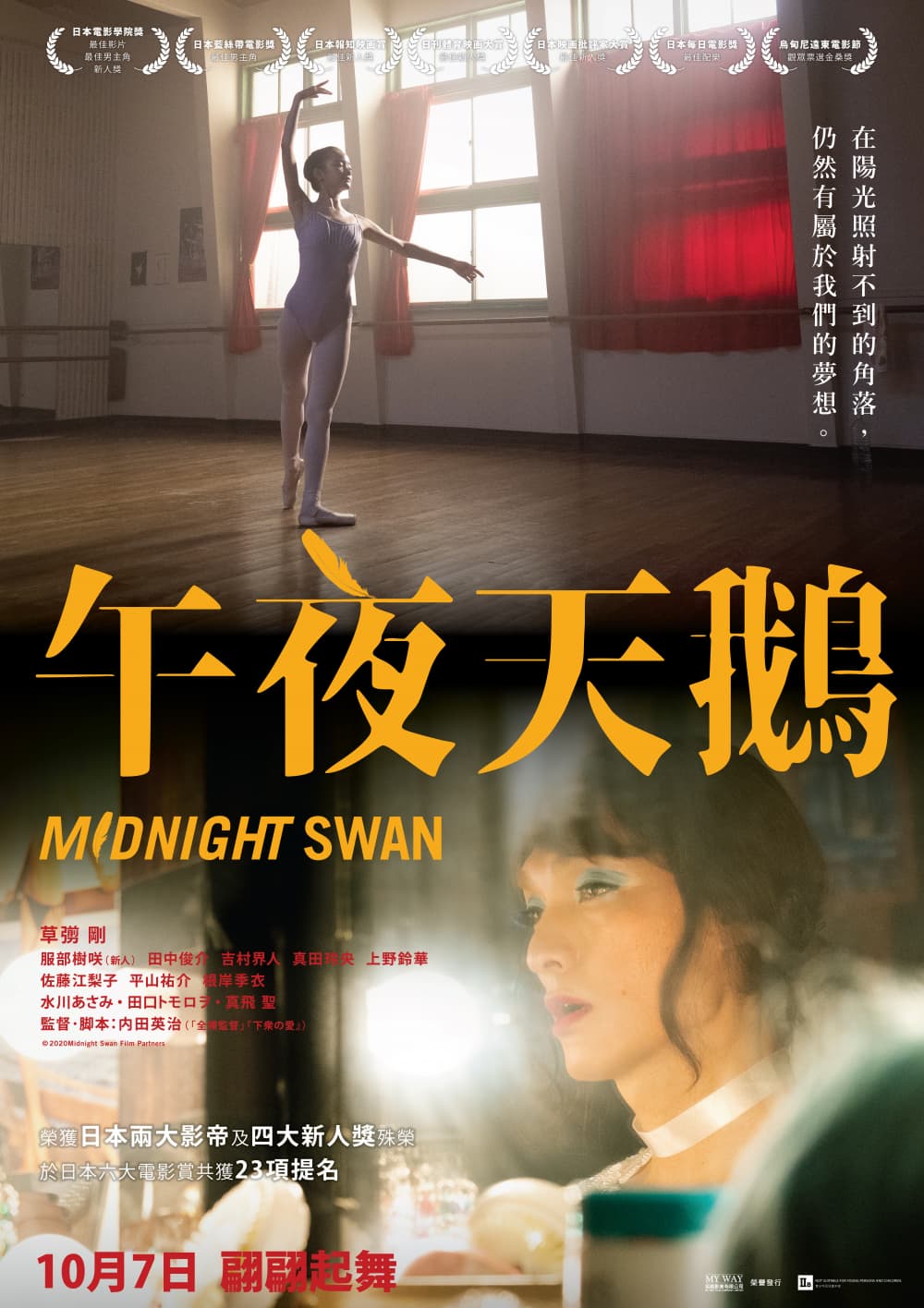 Midnight Swan