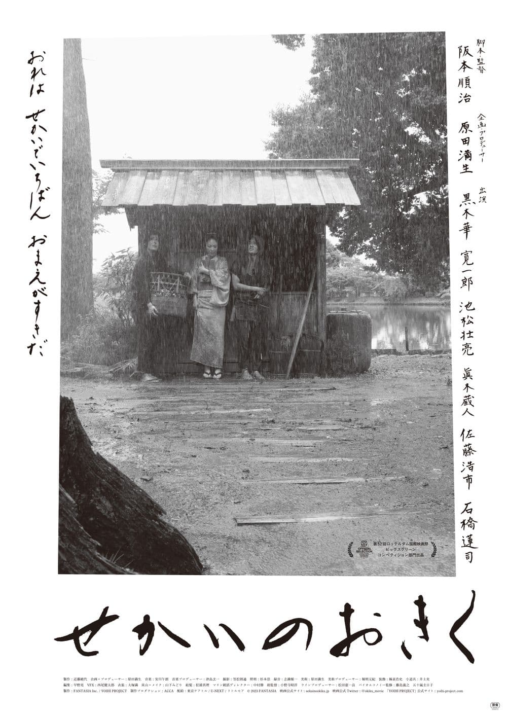 小菊的世界