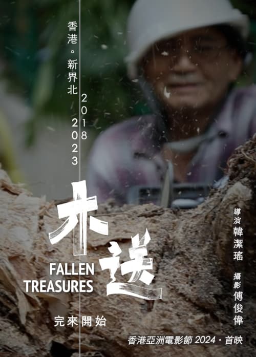 Fallen Treasures