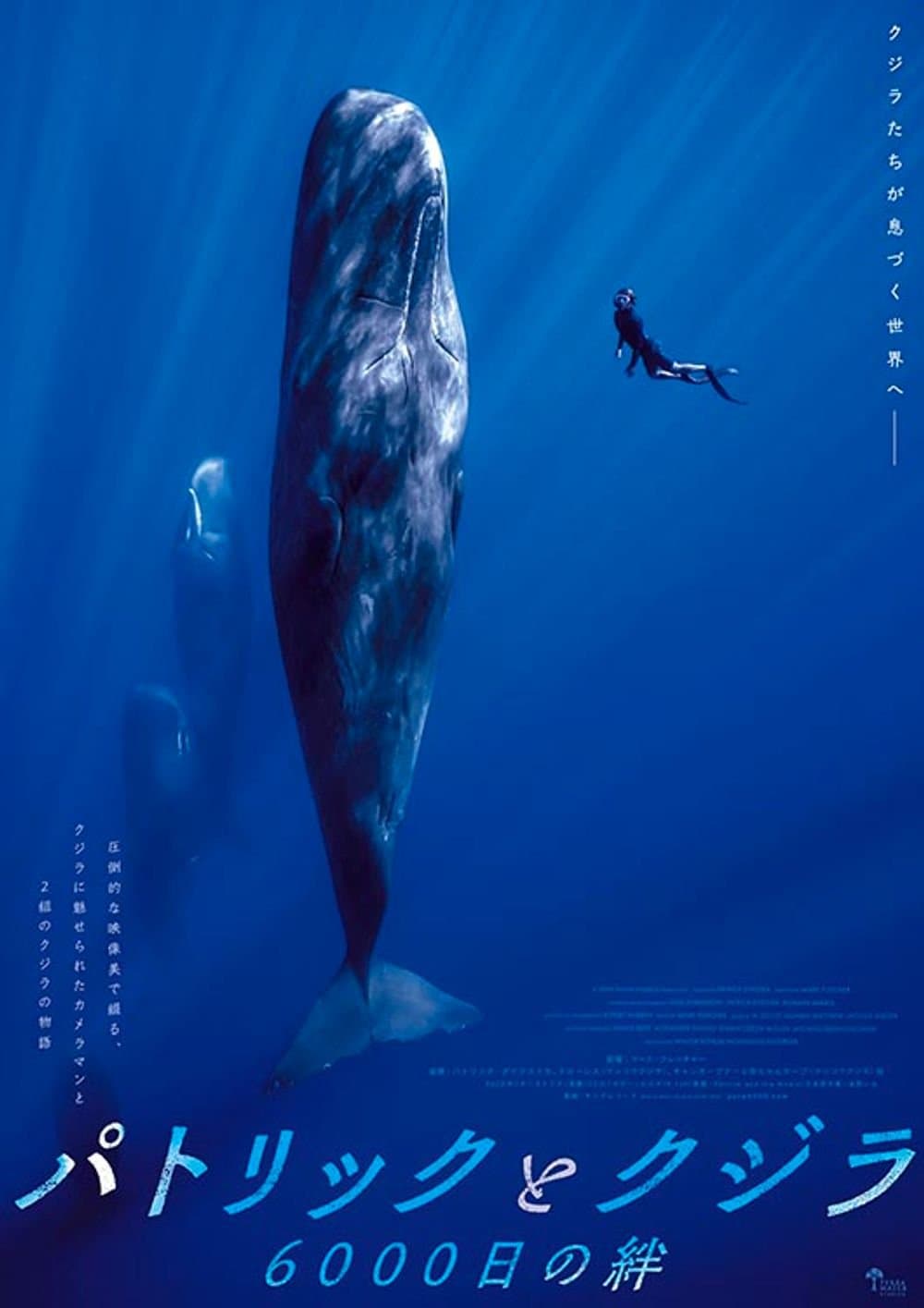 Patrick And The Whale