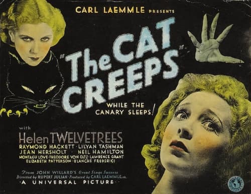 The Cat Creeps