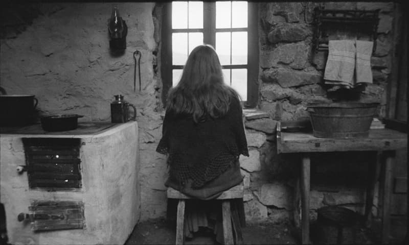 The Turin Horse